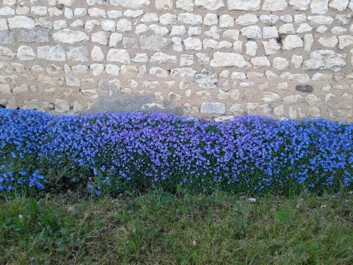 Fleur Du Soleil Agudelle Exterior foto